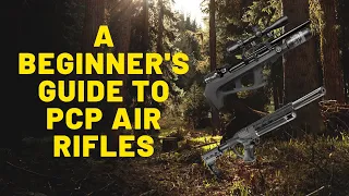 A Beginner's Guide To PCP Air Rifles