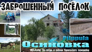 Заброшенный посёлок Осиновка - деревня Pilppula. Сельсовет, лошади и находки с металлодетекторами