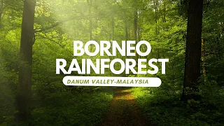 BORNEO Malaysia