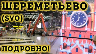 Аэропорт Шереметьево SVO - ПОДРОБНЫЙ обзор! Как ориентироваться в Терминале C? Где поесть? Дьюти фри