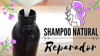 🍃🌺 Cómo hacer un SHAMPOO NATURAL | 💚 Shampoo líquido reparador