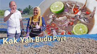 Buat BUDU Tempayan Guna Ikan BILIS Segar | Resepi Tok Kelantan