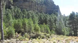 calarejos, cascada saltador