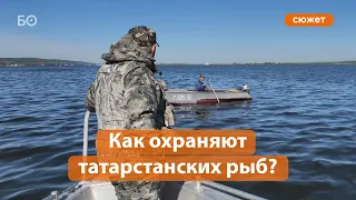 Как «Рыбоохрана» охотится на браконьеров в РТ?