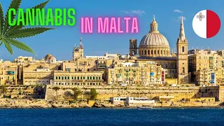 Cannabis in Malta - International Cannabis Overview