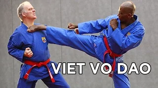 What is Vovinam Viet Vo Dao