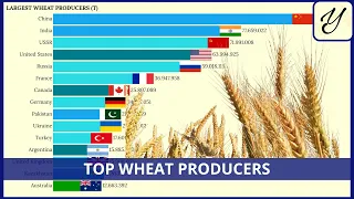 Largest WHEAT producers of the WORLD