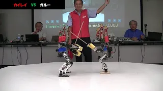 第3回ROBO-ONE剣道 準々決勝 カイレイ vs ガルー