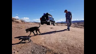 Driving Moab's Hell's Revenge in a Nearly Stock Toyota FJ Cruiser 2021