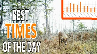 RUT FUNNELS: Best Times's to Be on Stand