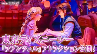 TDS『ラプンツェル』アトラクション全貌公開！マキシマスやパスカルの姿にも注目＜ネタバレあり＞