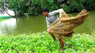 Best Net Fishing - Lot Of Fish Catching Using by Two Cast Net in The Natural Beautiful Pond