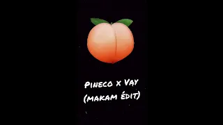 Pineco x Vay ( DJ MAKAM ÉDIT ) #pineco #vay #twerk