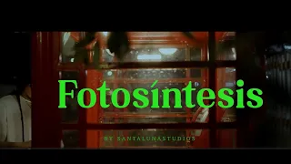 Kriska - Fotosíntesis (Visualizer)