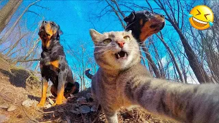 Funniest Animals 😄 New Funny Cats and Dogs Videos 😹🐶 2024 Part 54