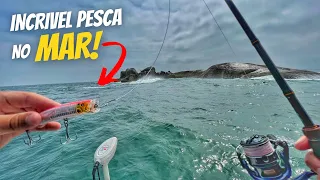 INCRIVEL PESCA de ANCHOVAS usando ISCAS de SUPERFÍCIE! Pesca nas pedras do mar !!!