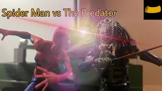 spider man vs the predator (stop motion)