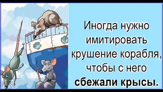 Крысы убежали, а корабль не утонул