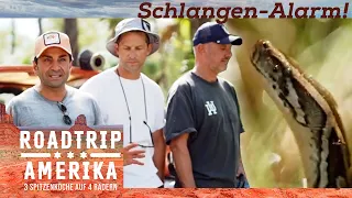 Der Mann mit der größten und längsten PYTHON!🐍 Welcome to Florida! | Roadtrip Amerika | Kabel Eins