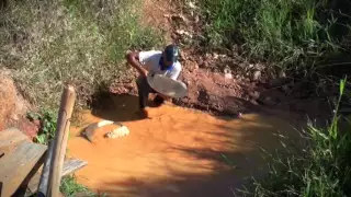 Así extraen el oro en la Reserva de Río Plátano. Telecamín en Iriona.