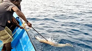 Catching Plenty of Eel Fish in the Deep Sea