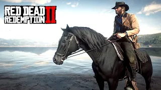 RDR2 - How to Get Black Arabian Horse for Free in Chapter 2