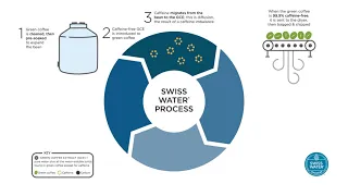 How Does Our Process Work?