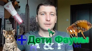 Капли от блох для кошек могут быть опасны!