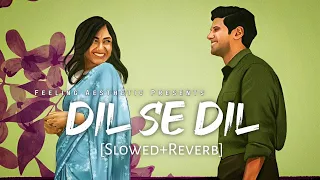 Dil Se Dil - [Slowed+Reverb] | Shaswat Singh | Sita Ramam | Feeling A E S T H E T I C