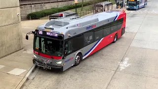 WMATA New Flyer Metrobuses  & MCDOT Ride-On Gillig Buses in Action Series #5