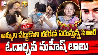 🔴LIVE : Mahesh Babu Daughter Sitara Emotional Video | Indira devi Passed Away |  @SumanTV Shorts