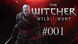 Let's Play The Witcher 3 #001 Prolog und Tutorial (HD, deutsch)