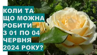 Коли та що робити з 01 по 04 червня 2024 року?