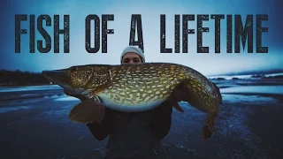 The Fish Of A Lifetime - Small Fish Stories