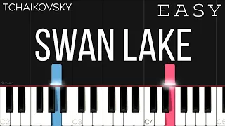 Tchaikovsky - Swan Lake Theme | EASY Piano Tutorial