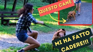 Riuscirò a insegnare a questo cane a non tirare più al guinzaglio