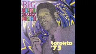 Big Walter Horton - Toronto  '73