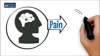 #2 The Brain Creates Pain