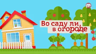 "Во саду ли, в огороде" (выпуск от 23.06.23)