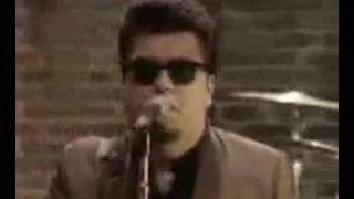 Los Lobos - Set Me Free