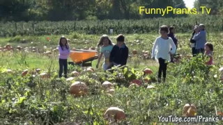 Killer Pumpkin Patch Prank