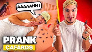 PRANK JE MET DES CAFARDS PENDANT SON SOMMEIL ! (sa phobie mdrrr)