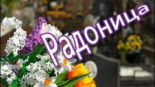 Радоница