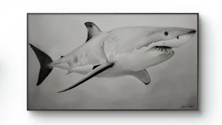 Grande Tubarão Branco #lapisnopapel 🦈🦈🦈🦈🦈🦈🦈