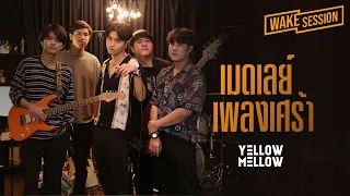 Yellow Mellow | เมดเลย์เพลงเศร้าและเพราะที่สุด cover by Yellow Mellow [Wake Session]