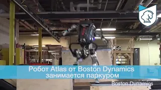 Паркур от робота Atlas