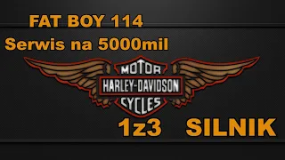 #Harley FAT BOY 114 - Serwis na 5000 mil. Silnik. Część 1 z 3.