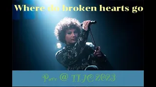 [Whitney] Where Do Broken Hearts Go - Cover by Pure Ekkapan at TIJC 2023