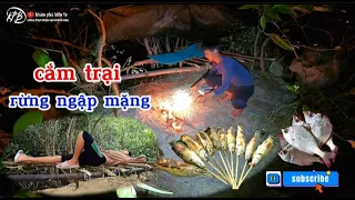 Cắm trại & tìm kiếm thức ăn trong rừng ngập mặn | camping, searching for food in the mangrove forest