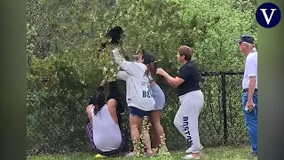 A group of tourists takes some bear cubs out of the trees to take photos with them I La Vanguardia